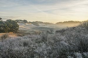 Winterse zonsopgang in de duinen van Dirk van Egmond