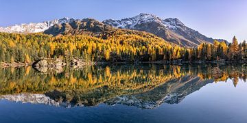 Goldener Herbst am Lago di Saoseo