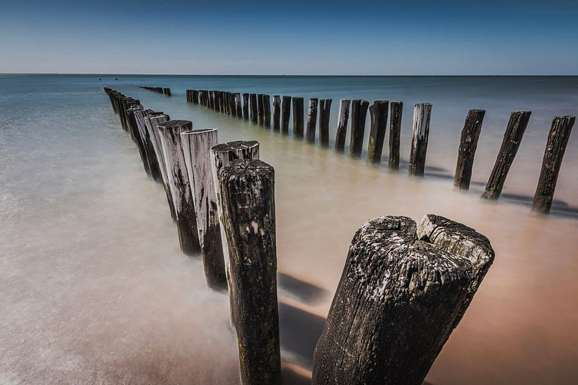 Pile heads in Zoutelanden. by Robby's fotografie