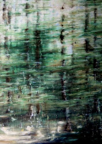 Gevangen in gedachten van Anita Snik-Broeken