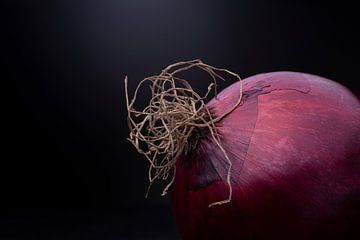 Low key still life of glossy red onion with tangle of 'hairy' carrots by Maarten Zeehandelaar