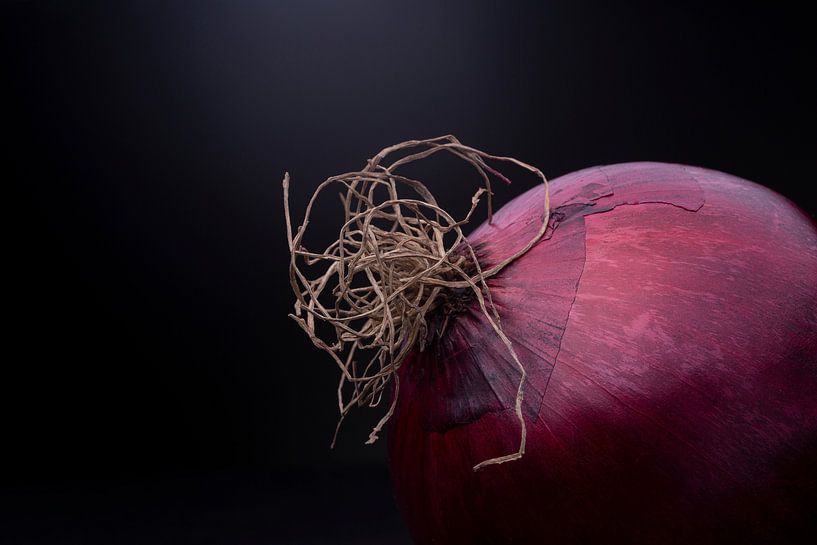 Nature morte discrète d'un oignon rouge brillant et d'un enchevêtrement de carottes  par Maarten Zeehandelaar