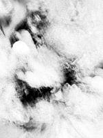 Abstract Composition W