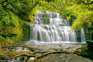 Purakaunui Falls, South Island, Neuseeland