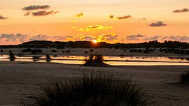 Dünen im Sonnenuntergang auf Amrum by Alexander Wolff