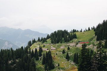 Rode bergtrein door het Zwitserse Berner Oberland van Evelien Lodewijks