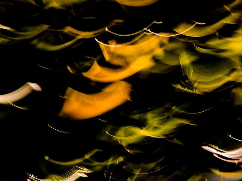 EVEIL DU PRINTEMPS # 46 van JORG BECKER
