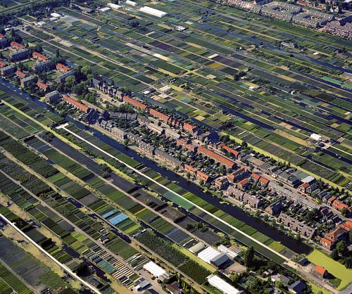 1986: Historische luchtfoto van boomkwekerijen Boskoop 