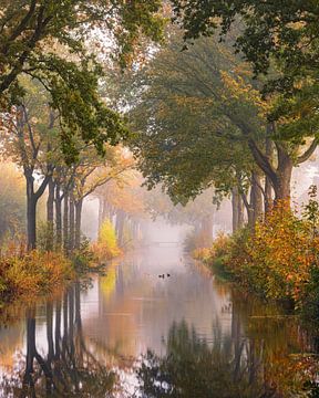 Herfst in de Groninger Veenkoloniën van Marga Vroom
