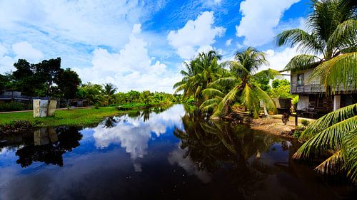 Plantation Bakkie in Suriname