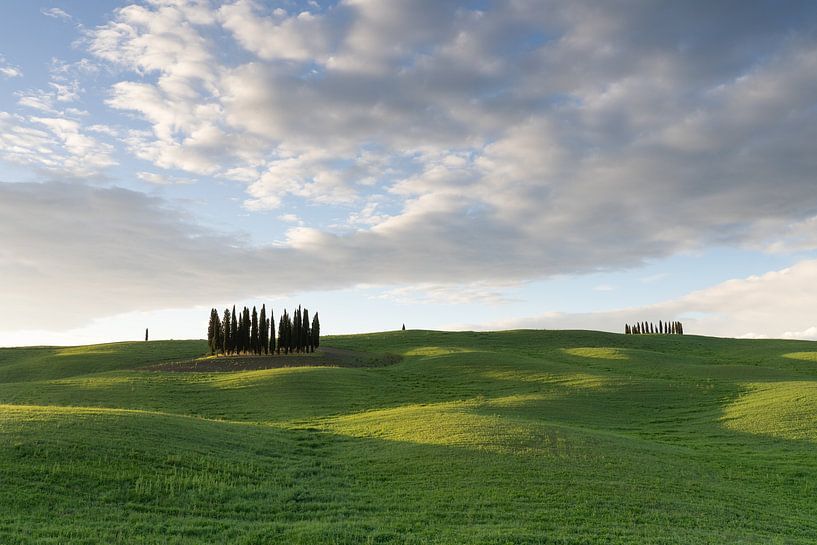 Tuscany, Sunrise, Val d' Orcia by Petra vd Berg