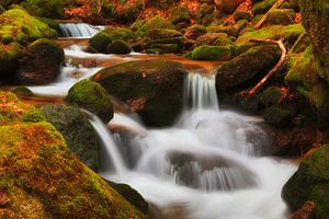 MAGISCHE WATER sur Thomas Herzog