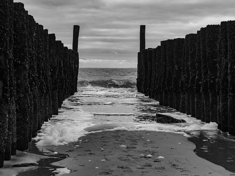 Beach poles by Jacques Beukers