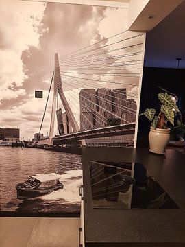Customer photo: Watertaxi underneath the Erasmusbridge with the Rotterdam on the background.  by Michèle Huge