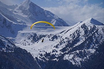 Paragliding in de Tuxer Alpen van Babetts Bildergalerie