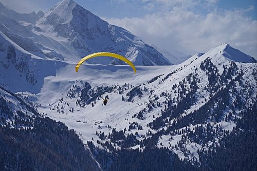 Paragliding in de Tuxer Alpen