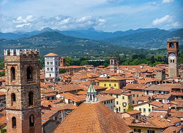 Blick über die Stadt Lucca in Italien, Toskana von Animaflora PicsStock