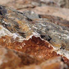 Stone by Edwin Arendts