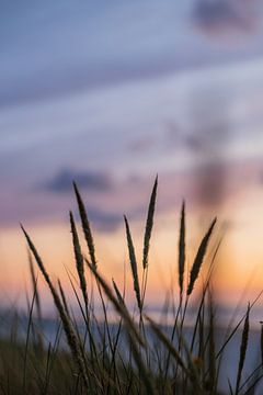 Zonsondergang kleuren in de duinen van Ameland van Lydia
