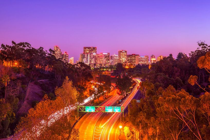 San Diego Skyline From Balboa Park by Joseph S Giacalone Photography