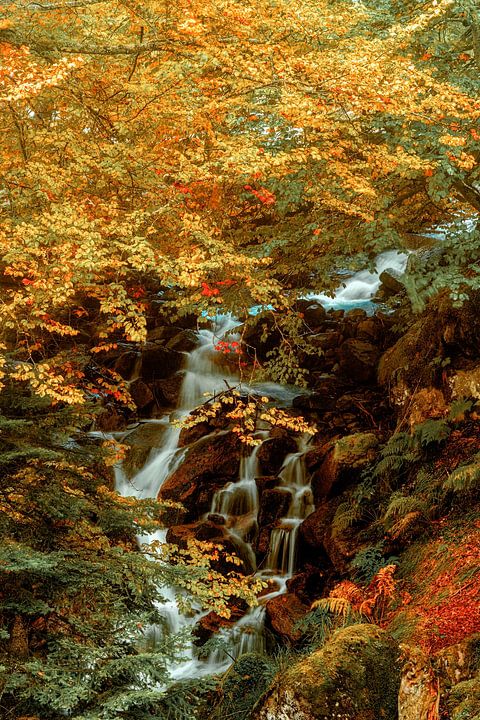 Hidden Waterfall II van <span class="secondary-font">Lars van de Goor</span>