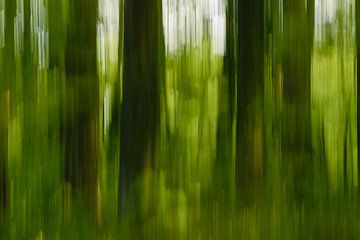 Bomen