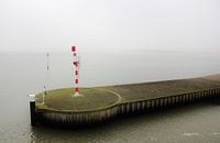 Texel Zeezicht 009
