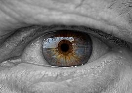 Contact visuel sur Tomasz Baranowski