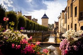 Valkenburg aan de Geul. von Hilda Koopmans