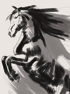 Cheval cabré noir blanc gris
