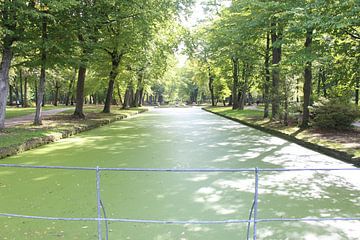 Schlosspark in Bayreuth im Sommer