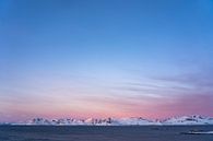 Het arctische winter licht van Jelle Dobma thumbnail