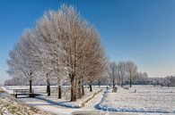 Winter landschap  van Bram van Broekhoven thumbnail