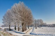 Winter landschap  by Bram van Broekhoven thumbnail