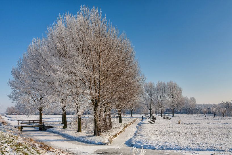 Winter landschap  van Bram van Broekhoven