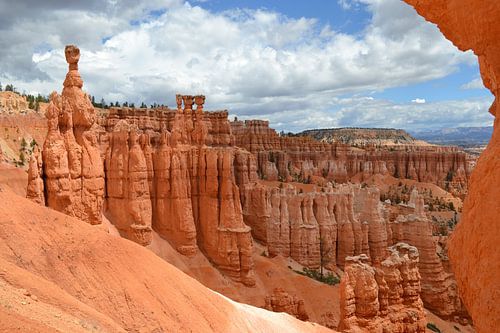 Hoodoos in Bryce Canyon