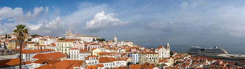 Alfama - Miradouro de Santa Luzia - Lissabon - Portugal