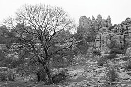 Spanje - Antequera – El Torcal 2 - Tenerife