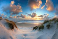 Dunes beach and sea