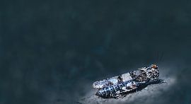 Une grande sauterelle