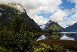 Landschap, Gebergte, Milford Sound, Nieuw Zeeland van Corrie Post