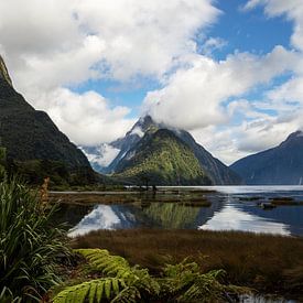 Landschap, Gebergte, Milford Sound, Nieuw Zeeland van Corrie Post