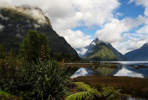 Landschap, Gebergte, Milford Sound, Nieuw Zeeland van Corrie Post