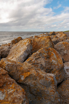 Schiermonnikoog - La digue des Wadden