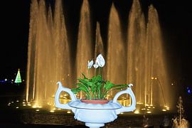 witte bloem in prachtige porseleine vaas sur Gerrit Neuteboom