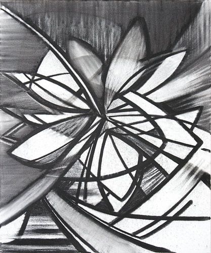 pioneering-s001-2__2009