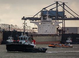 Tugboats in action in the Europoort towards evening. by scheepskijkerhavenfotografie