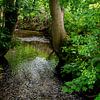 Le ruisseau qui babille dans la forêt sur FotoGraaG Hanneke