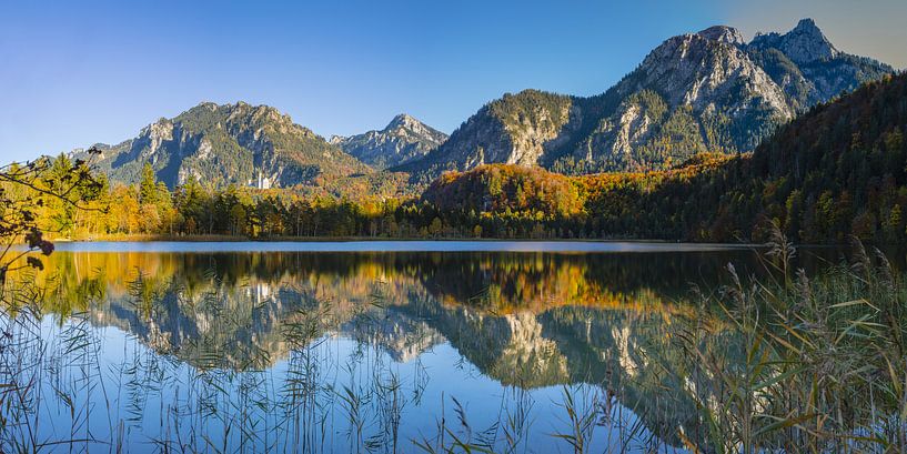 Swan Lake and Neuschwanstein by Walter G. Allgöwer