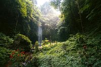 Fantastische groene weelderige natuur met waterval